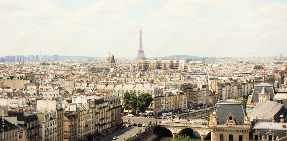View on Eiffel tower and Paris city from Notre-Dame Cathedral