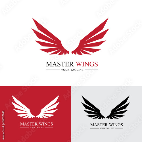Wings Logo, Eagle wing logo,bird symbol,freedom logo, Sport logo,vector logo template.
