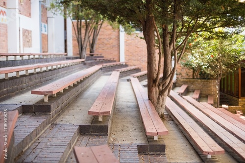View of empty bench and tree