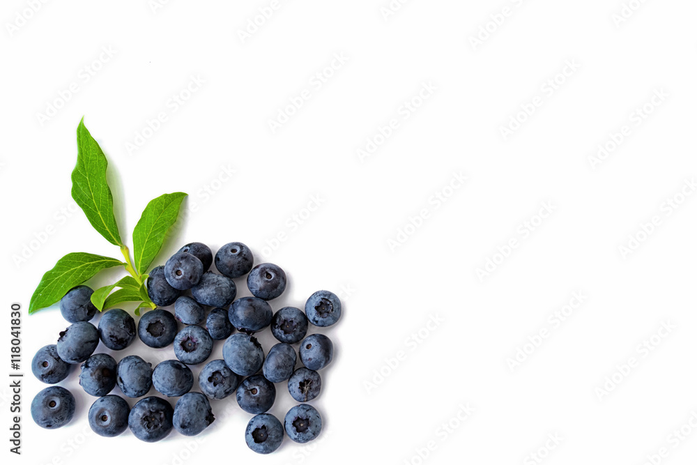 Blueberries with leaves on white background on left hand side Blueberries with leaves on white background on left hand side