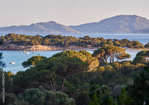 Palombaggia beach