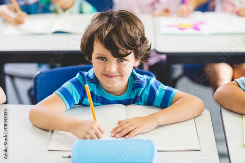 Portrait of schoolboy studying in classroom