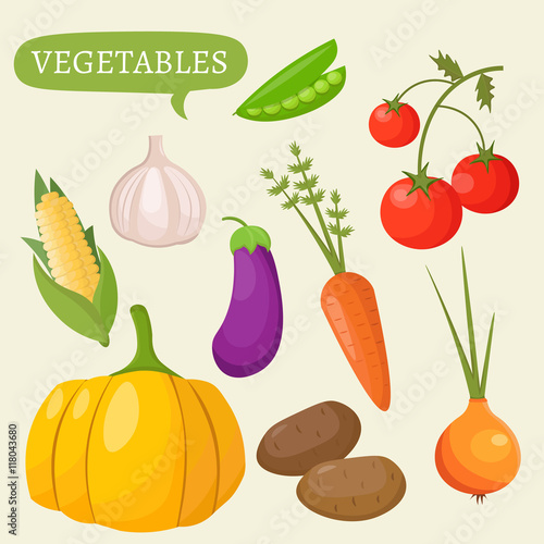 Garden colorful designs elements vector farm illustration icon set of different gardening equipment, tools, vegetables and plants.