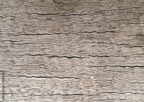 Close up cracked wood texture