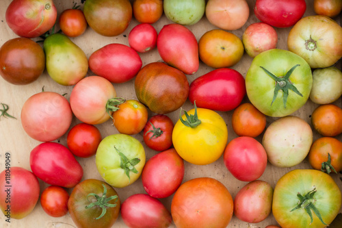 many colorful tomatoes with different sizes background