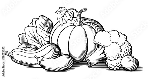 Still-life with vegetables. Pumpkin, zucchini, eggplant, broccoli, lettuce and tomato. Stylized vector illustration