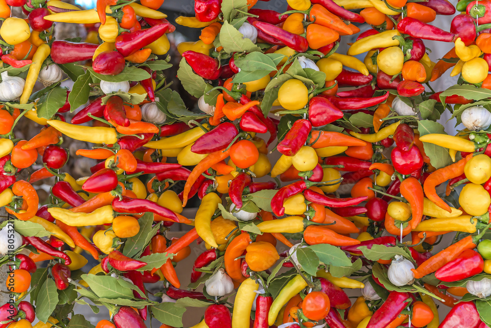 Backdrop of spicy peppers, garlic and bauleafs