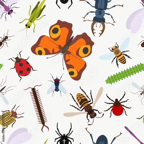 Garden insects seamless pattern. lady beetle and dragonfly, Lucanus cervus and wasp or bee, coccinellidae or ladybug, araneus orb spider and grasshopper, larvae and stag beetle, moth and bumblebee © Elegant Solution