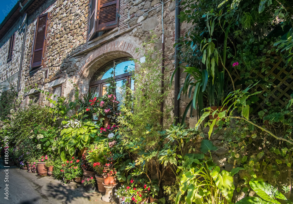 Fototapeta premium House and garden in Montemerano, Tuscany
