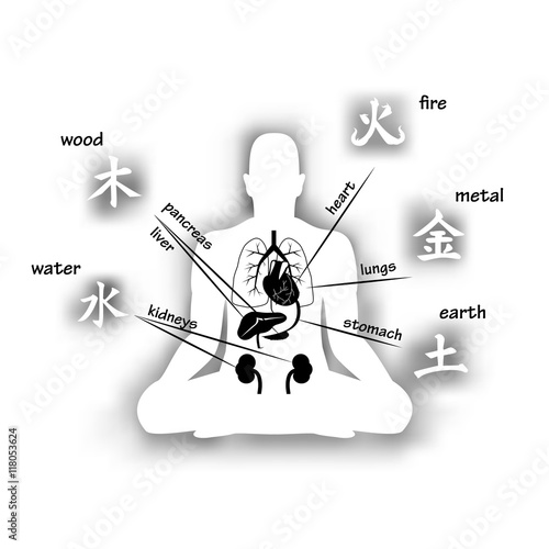 Five elements and human organs