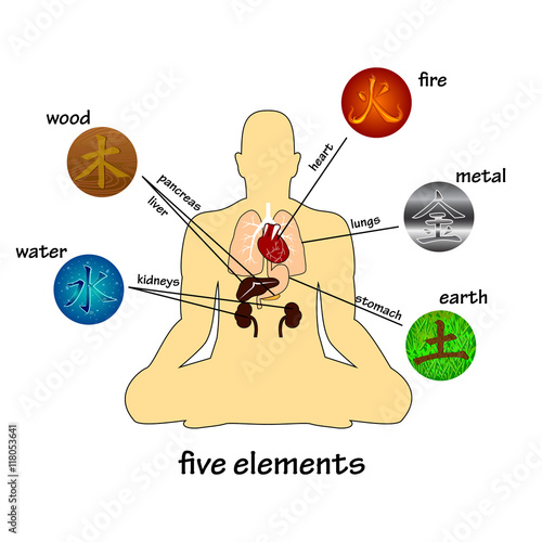 Five elements and human organs. Silhouette of sitting man