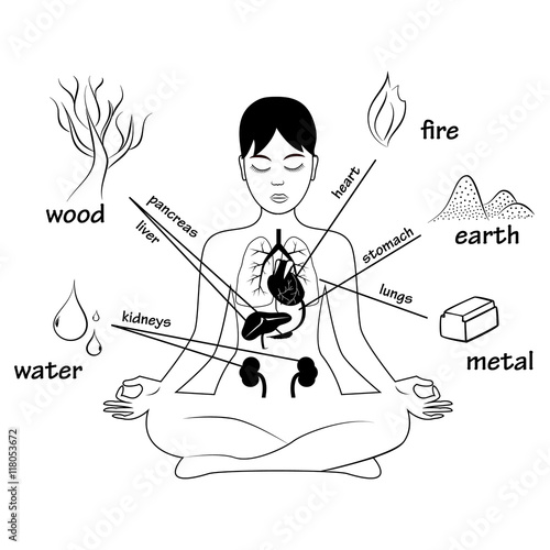 Five elements and human organs. Silhouette of sitting woman