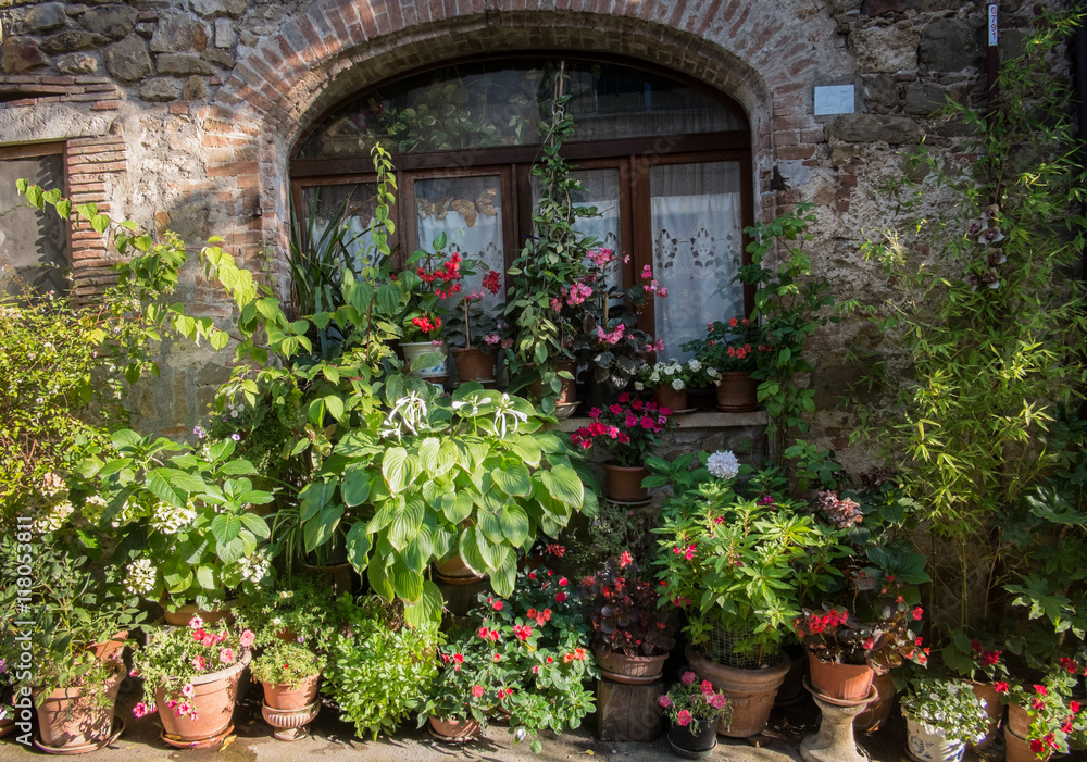 House and plants in Montemerano, Tuscany