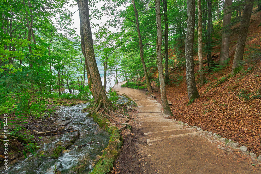 Forest Road Trail in Plitvice, Croatia Forest Road Trail in Plitvice, Croatia