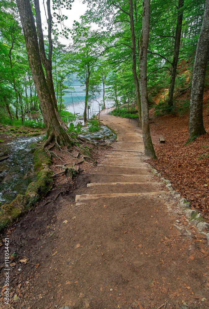 Forest Road In the Forest Plitvice Croatia. Forest Road In the Forest Plitvice Croatia.