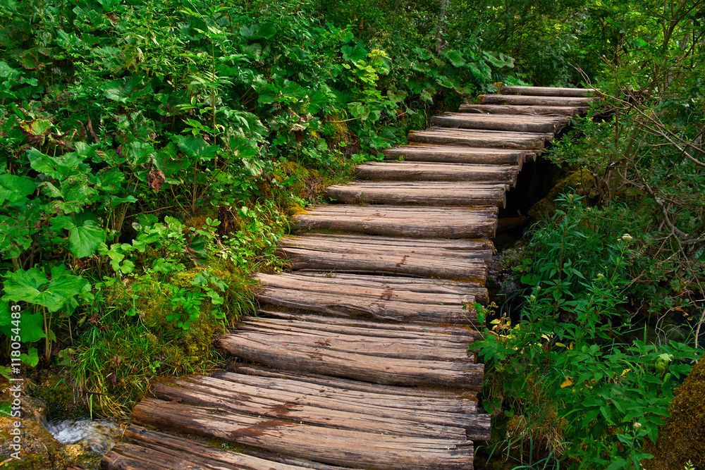 Wooden Stairs Trail in Plitvice, Croatia
