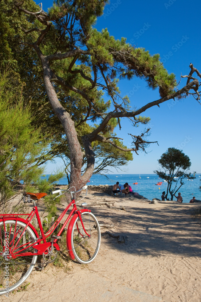 Fototapeta premium Le bois de la chaise à Noirmoutier