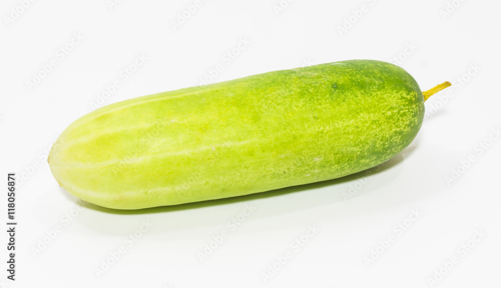 cucumber on white background cucumber on white background