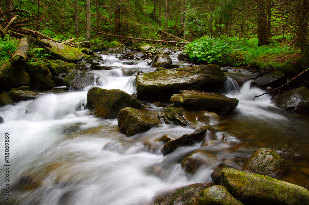 Obraz premium Mountain river in the green forest