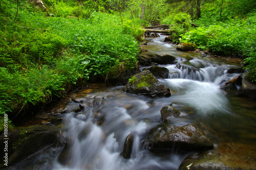  Stream in the wood