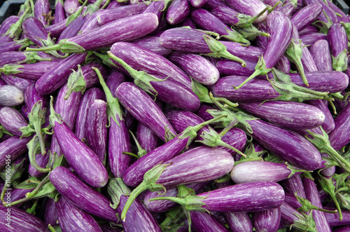 Mounds of Sicilian style eggplants ready for market