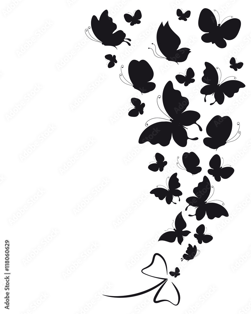 Obraz premium black butterflies,isolated on a white
