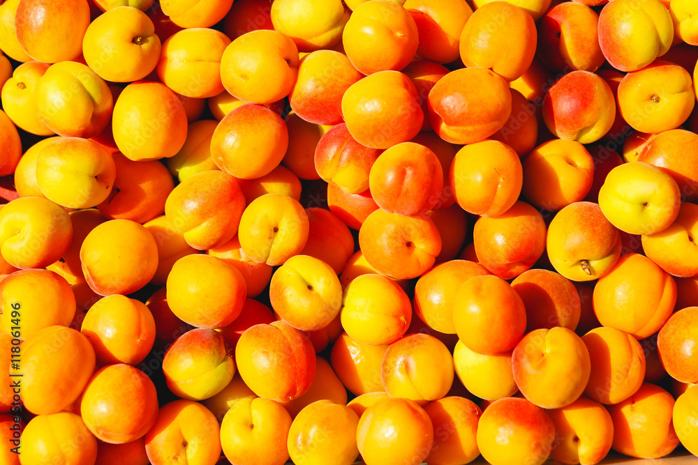 A picture of apricots lying under the rays of sun