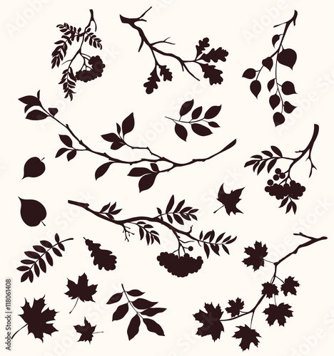 Autumn set of twig and leaf silhouttes. Decorative tree branches. Oak, maple, rowan, and birch