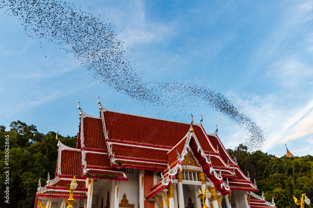 Hundred Million Bats at Wat Khao Chong Pran, Ratchaburi Thailand