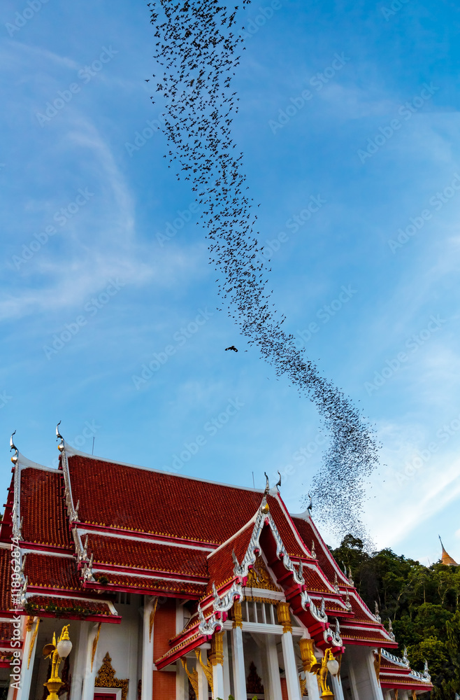 Hundred Million Bats at Wat Khao Chong Pran, Ratchaburi Thailand