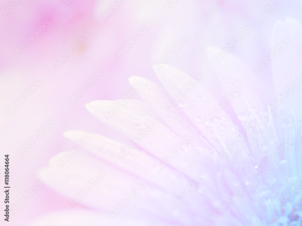 Naklejka premium Flower background 42