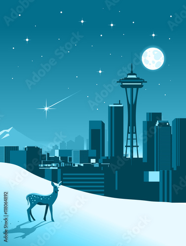 Seattle winter skyline
