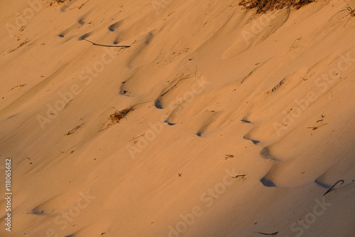 Sandy background at dunes