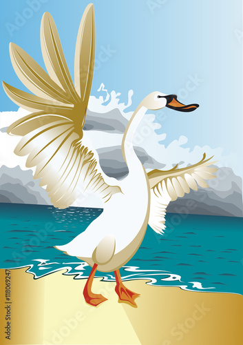 Un grand cygne blanc sur une plage