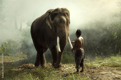Elephant with mahout