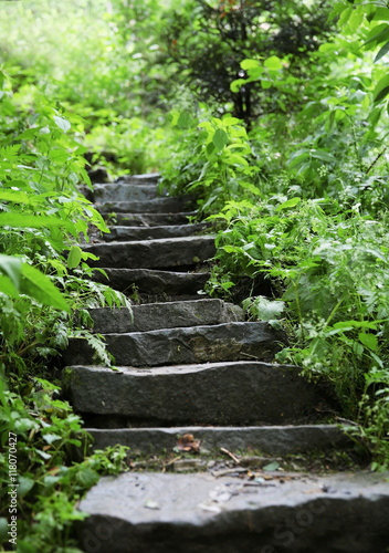 Old stairs in summer forest