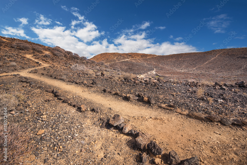 Path in scenic volcanic landscape in south Tenerife island, Canary islands, Spain.