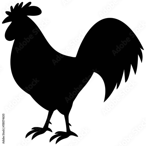Photo Rooster Silhouette