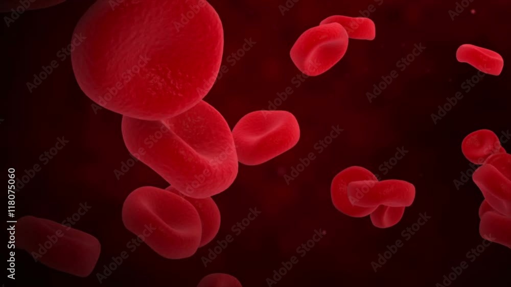Microscopic visualization of red blood cells. Microscopic visualization of red blood cells.