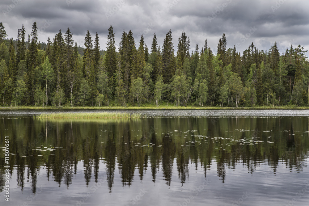 lake and forest  in Finnish Lapland