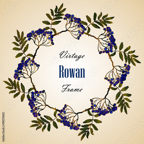 Vector vintage frame on a tender background.