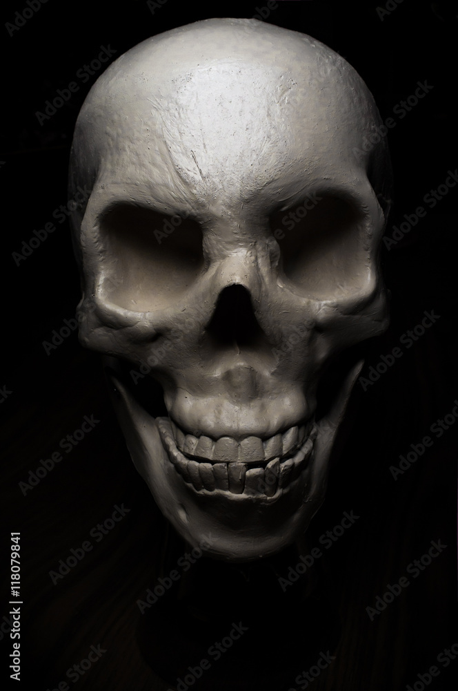 Scary Halloween Skull Scary Halloween Skull