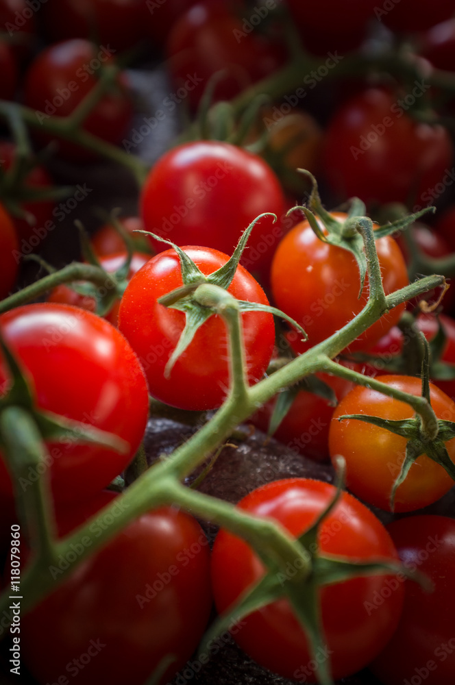 Grape Tomatoes Vine