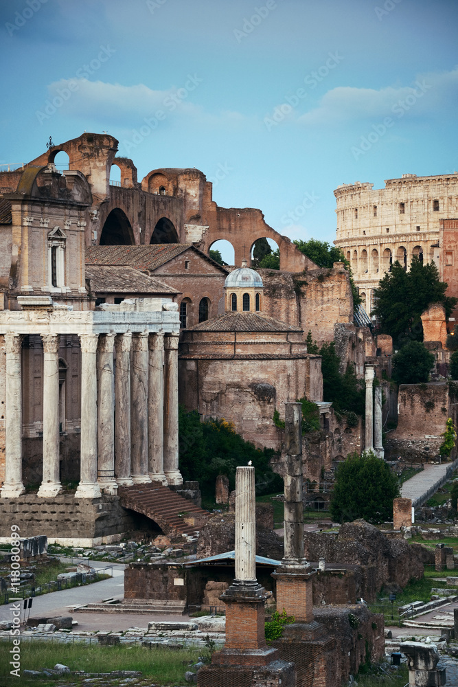Fototapeta premium Rome Forum