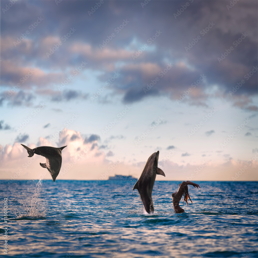 Fototapeta premium oceanview seaview with nice sea surface. Two playful dolphins play with girl on water under cloudscape at sunset time