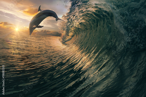 Sunset dolphin jumping over breaking waves. Hawaii Pacific Ocean wildlife scenery. Marine animals in natural habitat.