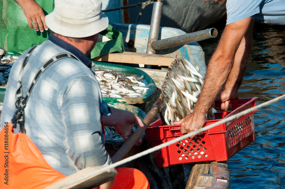 fishermen pour the fish in the box fishermen pour the fish in the box