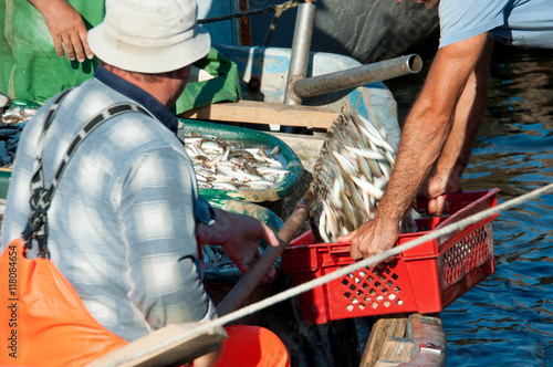 fishermen pour the fish in the box