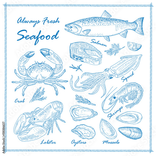 Hand drawn seafood