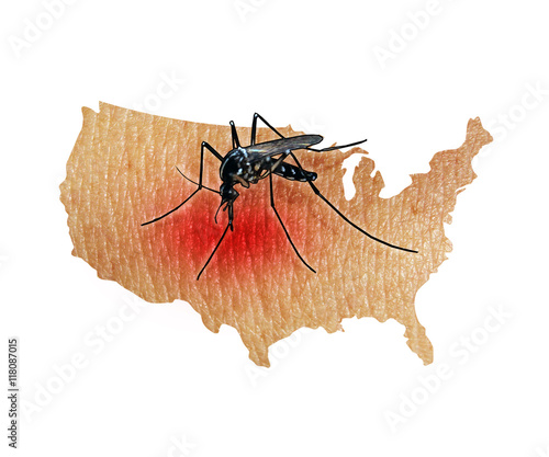 Zika Virus in the United States